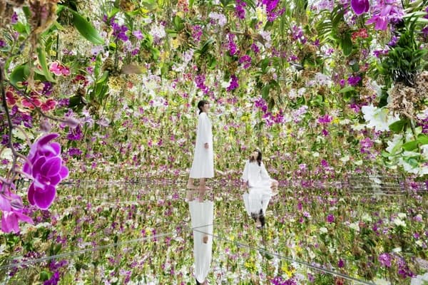 teamLab Planets TOKYO 门票 - 丰州