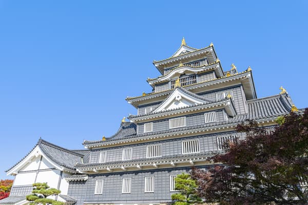 【6-14岁】冈山城天守阁 门票 - 冈山