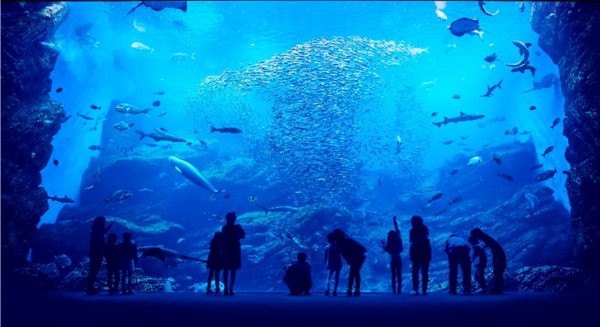 【18-64岁】仙台海洋森林水族馆 门票 - 仙台