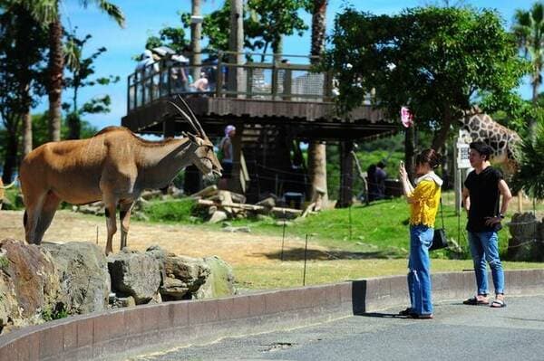 【12~17岁】冒险大世界　1日入园券　- 和歌山