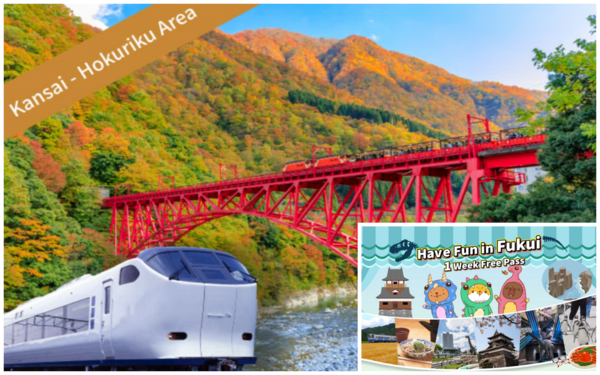 关西＆北陆地区铁路周游券7日券+福井乐享周游券「Have fun in Fukui Pass 1 Week Free Pass（任选3设施）」套票 - 福井