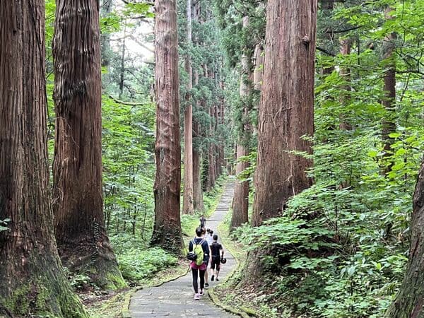 「奥之细道」羽黑山电助力自行车之旅 含导游&午餐（斋饭） - 山形